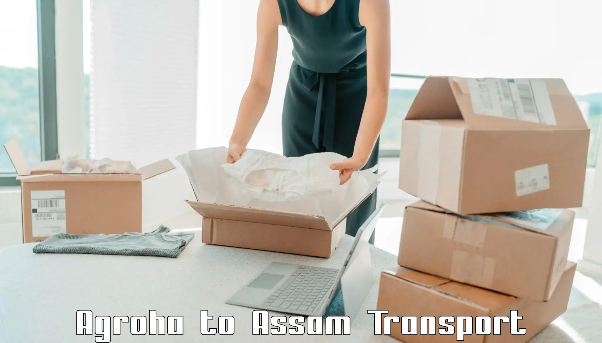 Road transport online services Agroha to Assam