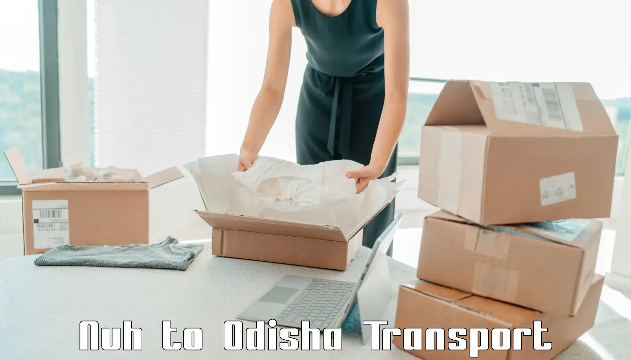 Domestic goods transportation services in Nuh to Odisha